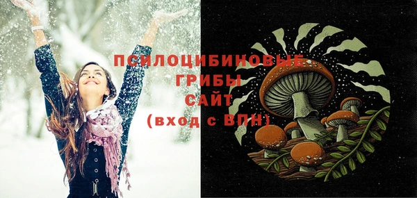 гидра Алексеевка