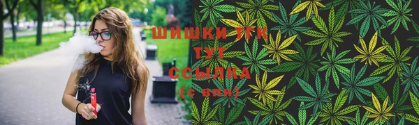 гидра Алексеевка