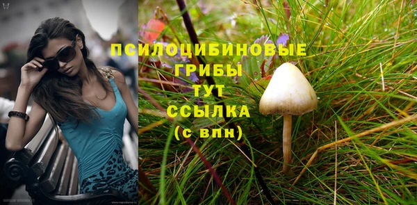гидра Алексеевка