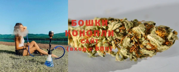 гидра Алексеевка