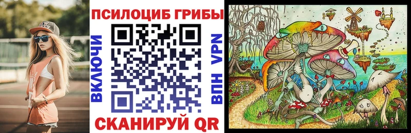 хочу   Курганинск  Галлюциногенные грибы мицелий 
