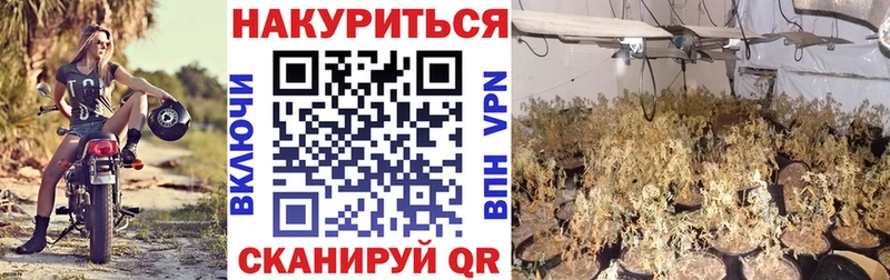 наркота Курганинск МАРИХУАНА марихуана