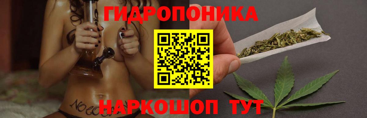 Курганинск  Конопля тримм  Марихуана конопля  Вход с VPN  Бошки Шишки планчик 